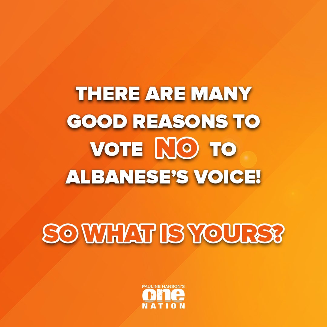 There are many good reasons to VOTE NO to Albanese’s Voice! So what is yours?