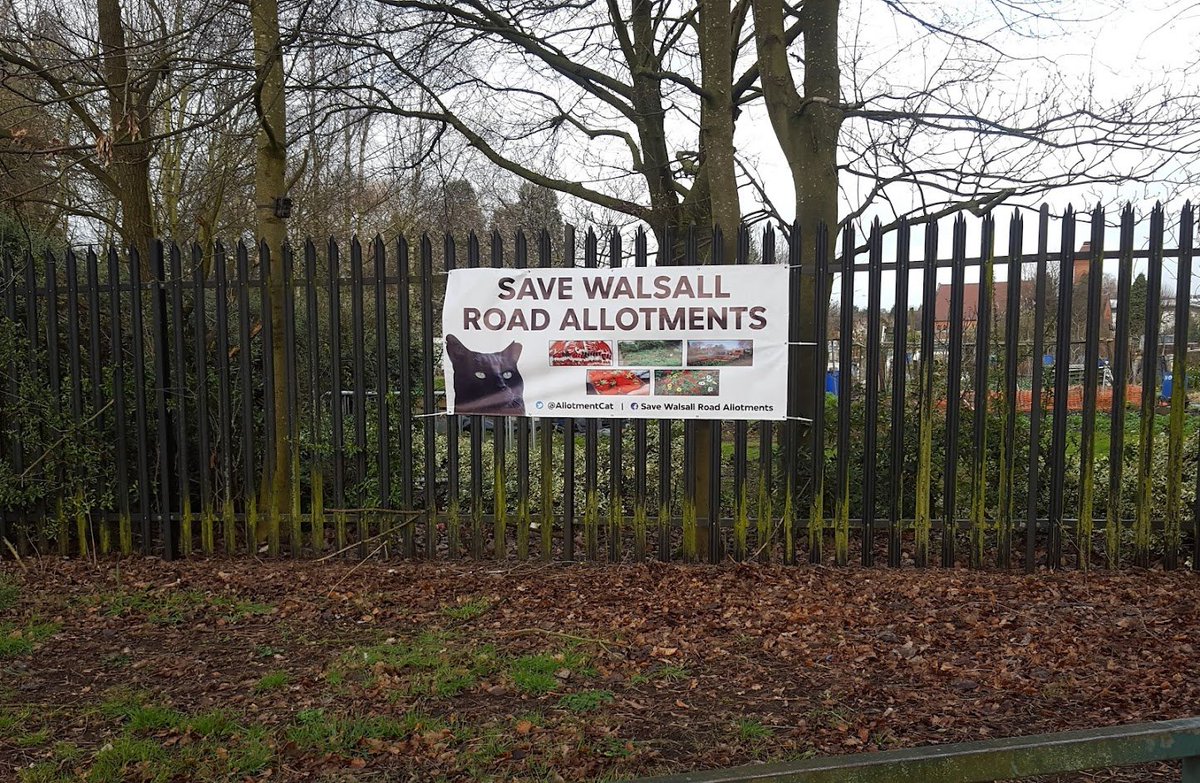 Today is a very special day. It's the 4th anniversary of when we saved the allotments. My Best Friend Robert led the campaign and all his twitter followers supported him. It was decided that today would be the cats' Official Birthday, so Happy Birthday to me and Janet!