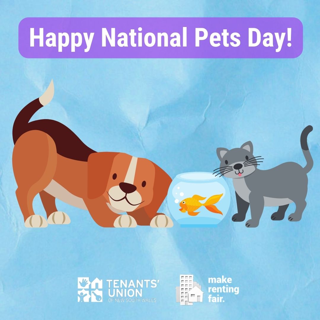 Happy National Pet Day! Do you think it's about time for the law to change in NSW to make it easier for renters to keep pets?