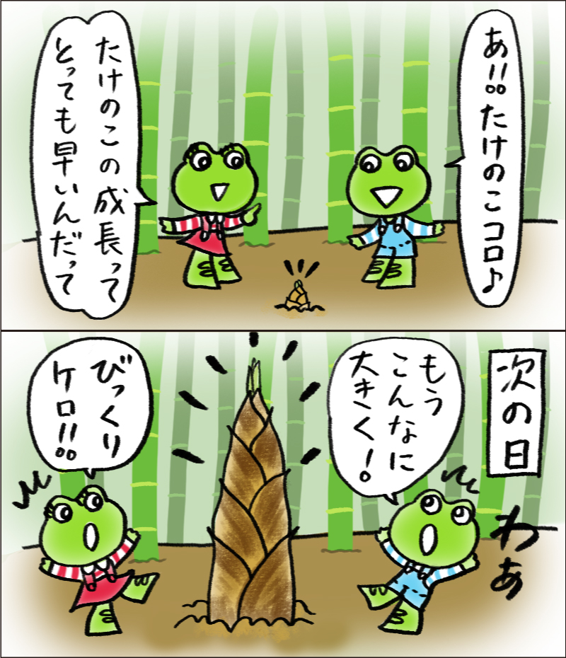 ケロちゃんコロちゃん【公式】 tweet media