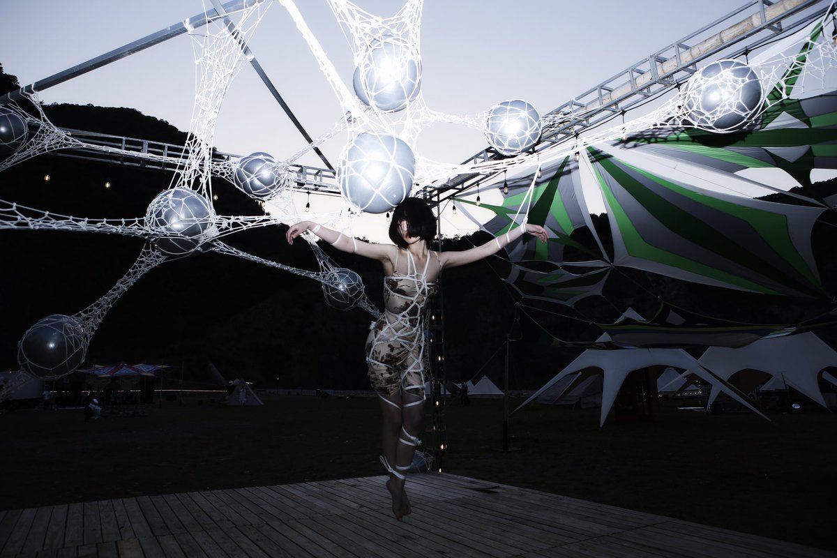 Mosaic cat_maomao tweet media