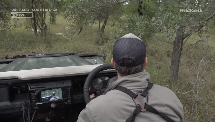 vokstar's tweet photo. #StrapCheck #wildearth https://t.co/JsBEj5dBn5