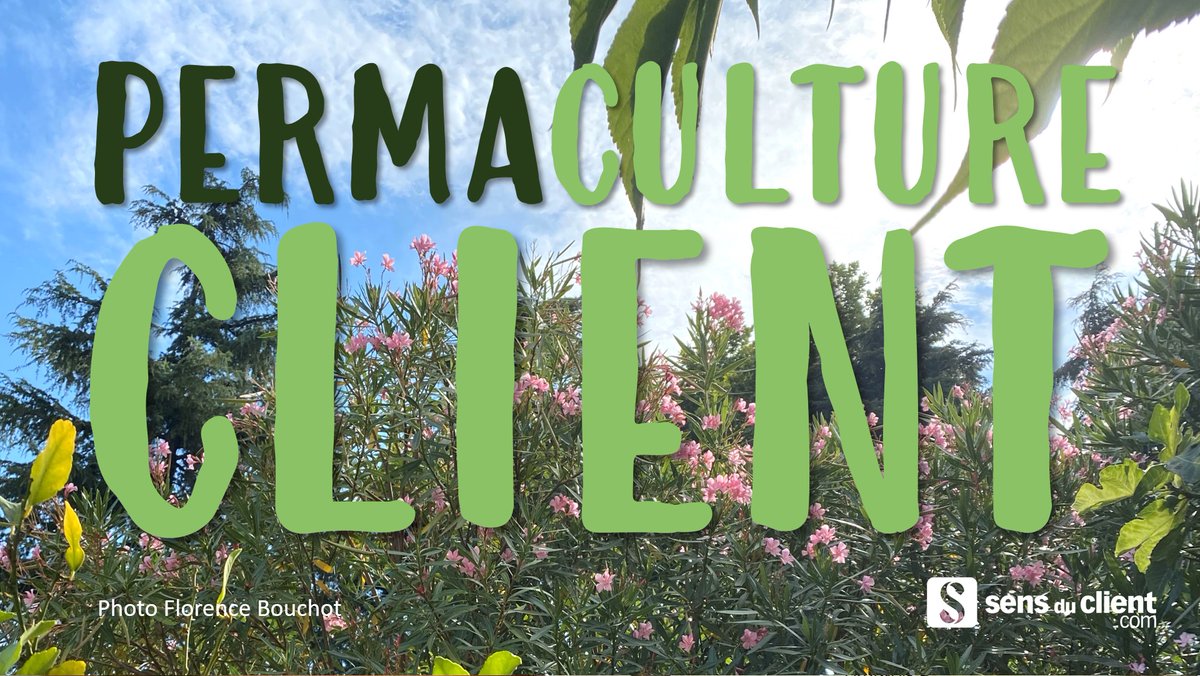 ThierrySpencer's tweet photo. Et si on essayait la Permaculture Client ?
Découvrez les 12 principes appliqués à l'entreprise, un billet de mon blog écrit à 4 mains avec @FlorenceBouchot
https://t.co/qZlAbJ2TDB
#expérienceclient #relationclient #cultureclient #permaculture #permacultureclient #strategiec https://t.co/4lrrpfvQQw
