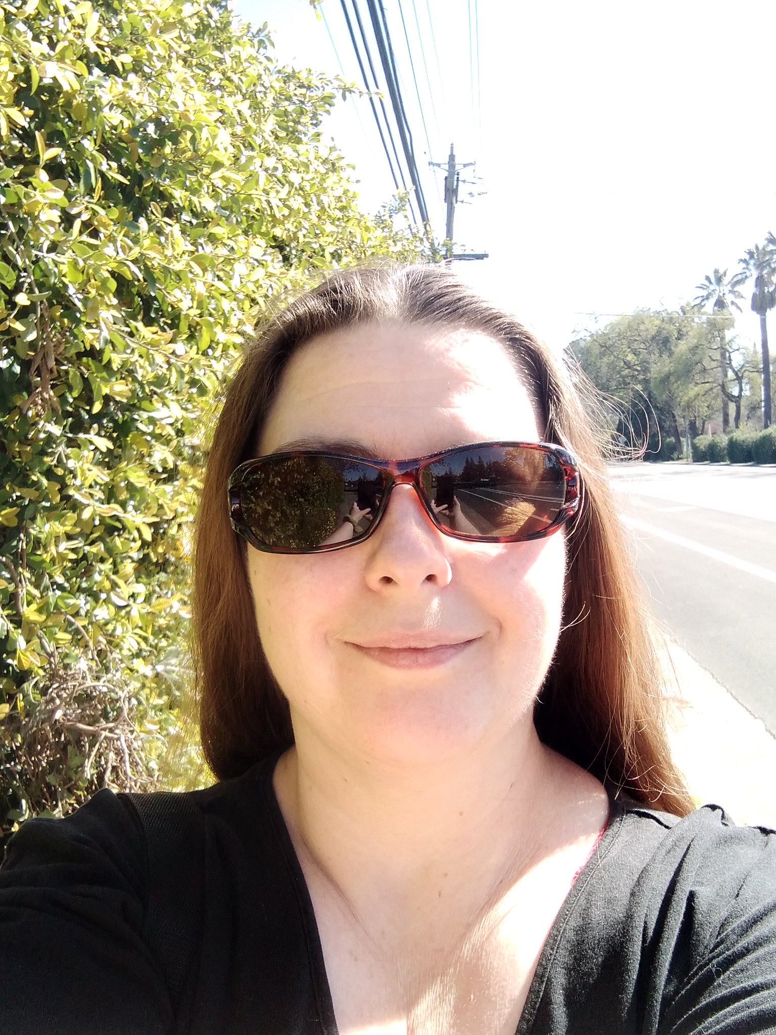AflorA Studios Paws Of Aries On Twitter Went For My 3 mile Walk aflora-studios-paws-of-aries-on-twitter-went-for-my-3-mile-walk