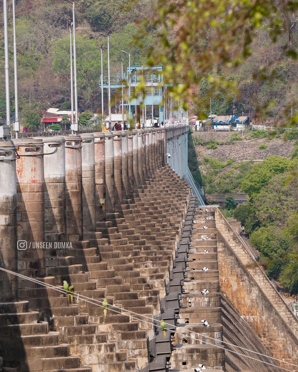 losttrailsss's tweet photo. Quick Tour to Masanjor, Witness the beauty of Dumka, Jharkhand.
@DumkaDc @VisitJharkhand 
.
.
#dumka #masanjordam #dam #water #river #jharkhand #jharkhandtourism https://t.co/6YN84URZnm