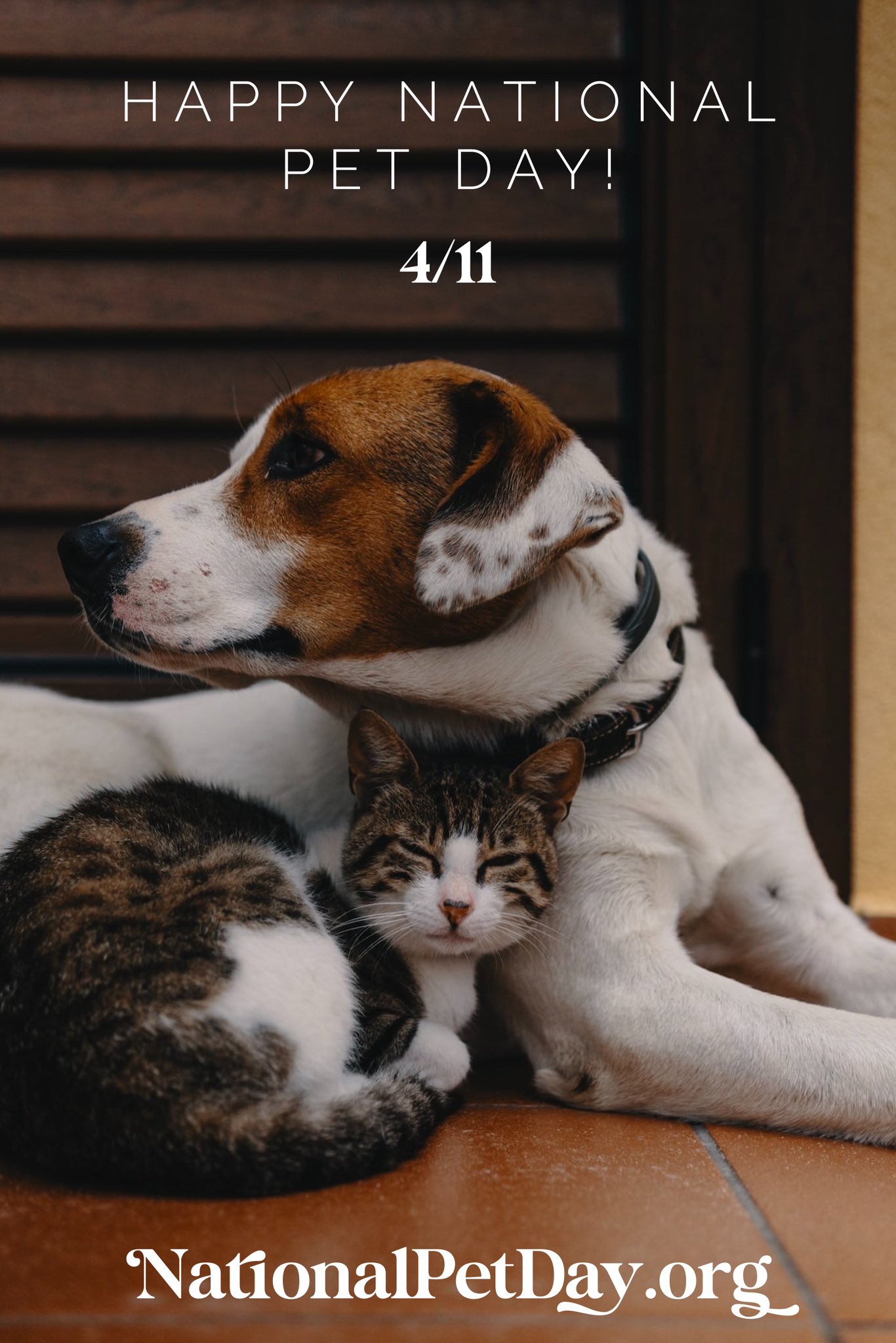 National Pet Day™ on Twitter "Happy NationalPetDay! Please consider