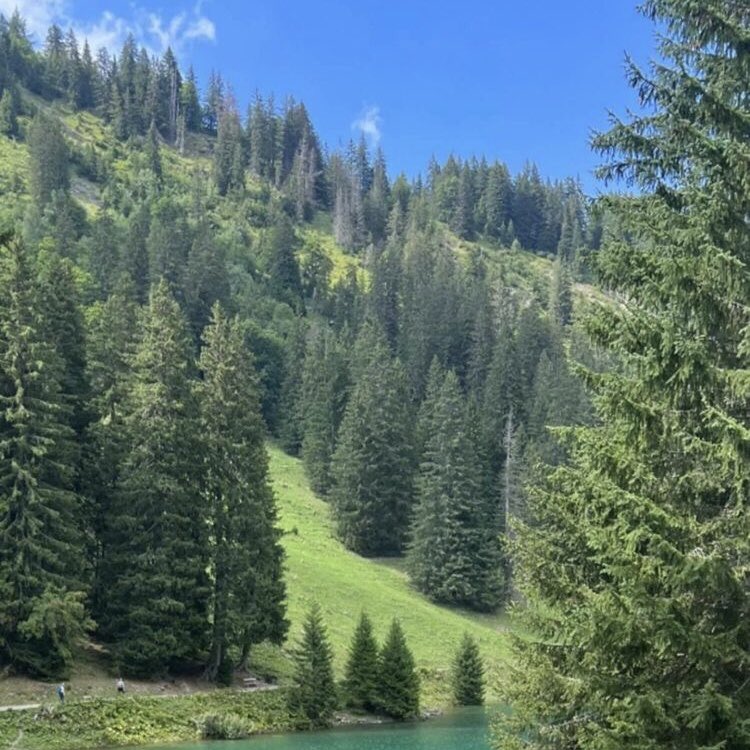 EstetikNote's tweet photo. 📍 Switzerland
With and without snow ❄️

Ikaw, saan mo gustong makapunta? 🤎🍂

#TravelTuesday

FB | @VintageNotePH
IG | @VintageNotePH
✍️ | - 🌸
📸 | Pinterest https://t.co/ZaqIZcyXU2