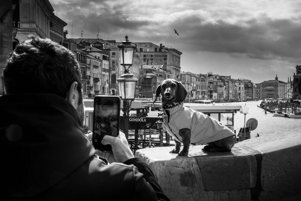 CMVenezia's tweet photo. 📷Dal 20 al 23 aprile 2023 l'isola d San Servolo ospita la IV edizione della rassegna VIP (Venezia International Photo Festival). Protagonisti i grandi “maestri” della fotografia.
Info 👇
https://t.co/GQEMsVfrl5 https://t.co/0gWLvRpSul