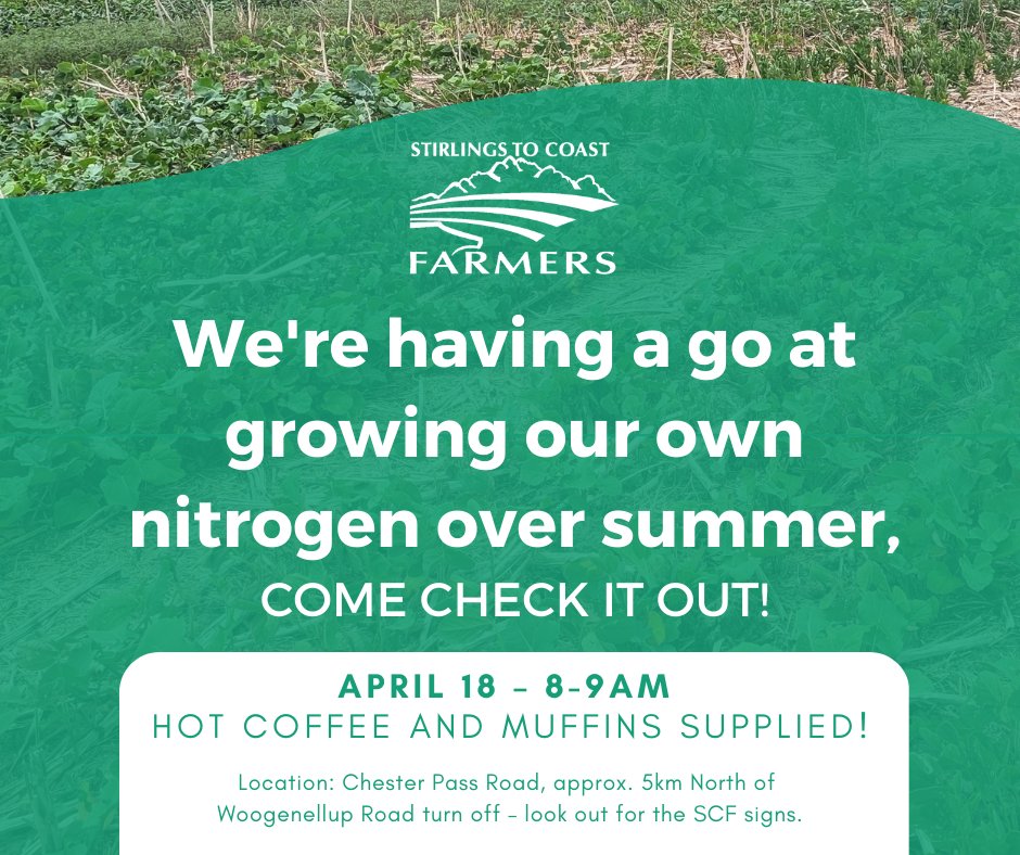 Are you interested in growing your own nitrogen over summer?

Pop in to our quick field walk at the trial site on April 18 8-9am.

The trial focuses on finding a viable legume that can grow over summer when moisture is available, to produce nitrogen for the following winter crop.