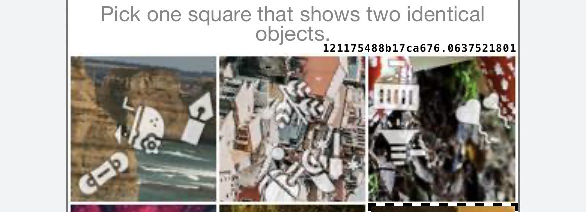 kaye moors tweet media