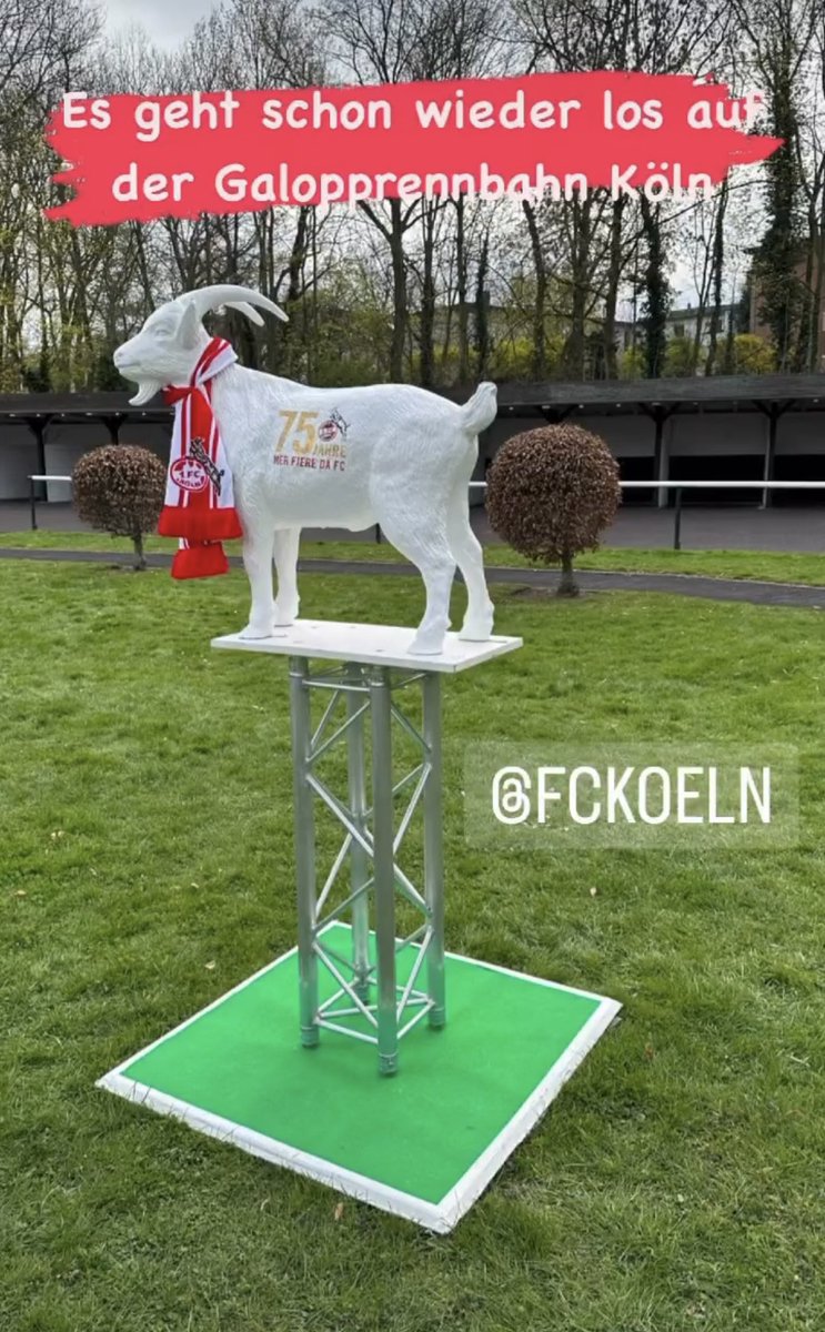 thcastle's tweet photo. 15.000 Zuschauer in Köln beim Renntag mit dem @fckoeln 🙌 #eventmoderator #tvmoderator https://t.co/BcjW94LReP