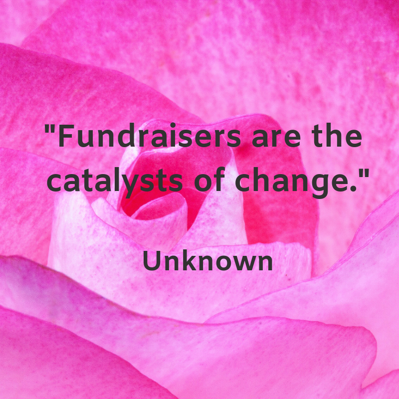 Love this! ❤️❤️ #afc #fundraising #fundraisingconsultants #catalystsofchange #philanthropy #charity #fundraisers