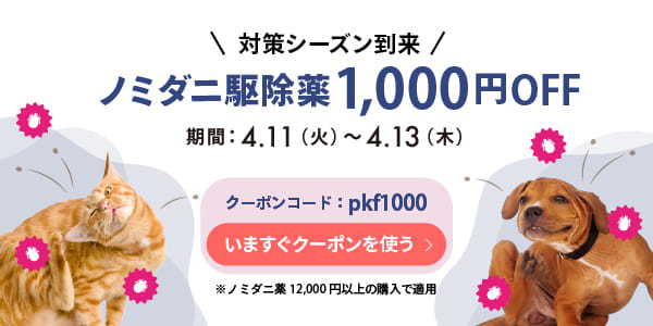 petkusuri's tweet image. ／
ノミダニ駆除薬1,000円OFF
対策シーズン開始🐾
＼

地域によってはすでに桜も散り、1日の日照時間が長くなり、春の陽気真っ只中かと思います🌸

家飼いのネコちゃんでも油断は禁物！
予防駆除薬の投与は必須です！

#ペットくすり 
#マダニ予防
#ペットの健康