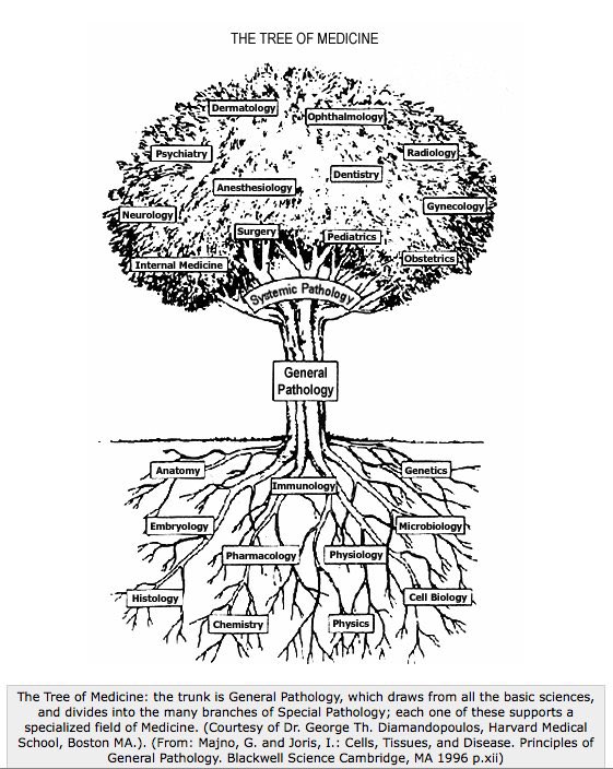 #pathology is a fundamental specialty for #cancer research, prevention, diagnosis and treatment.

We are proud for 8 of our Alumni members to be joining the #YoungCancerProfessionals group!

#PathTwittee #MedTwitter