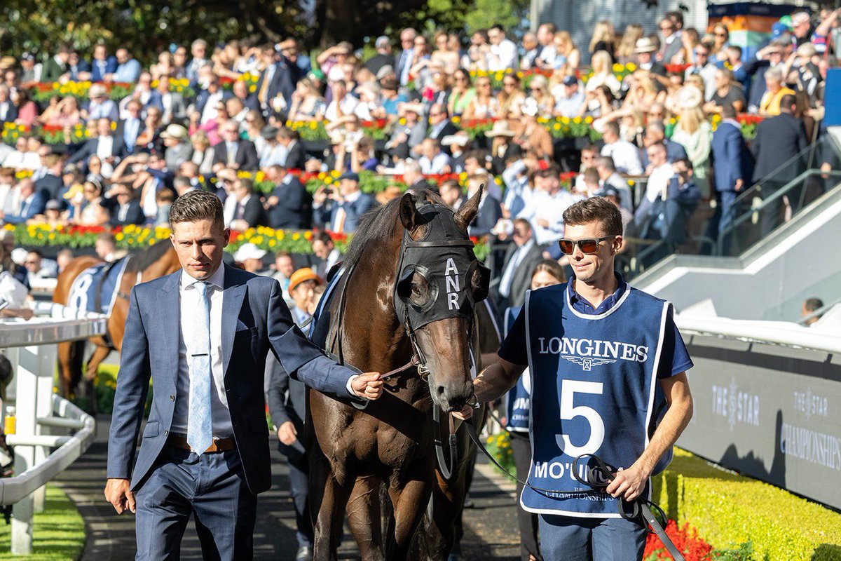 KickUpForRacing's tweet photo. Why is horse racing controversial? 

Despite being the most-watched animal sport worldwide, racing has been plagued by a false narrative online. 

Delve into our sport's history, discover the truth and #kickupforracing by reading our blog: https://t.co/SCd6B7hbjw https://t.co/VrwZKpoyt3