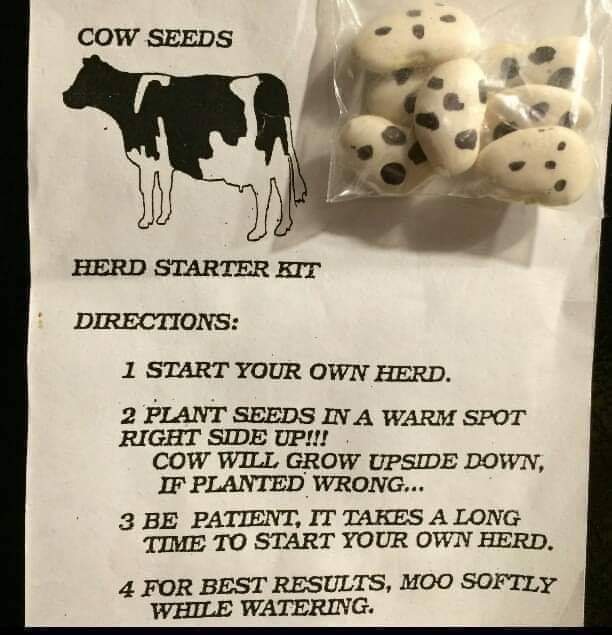 Moody_Dr🚏ver©️™️ 🚍 tweet media