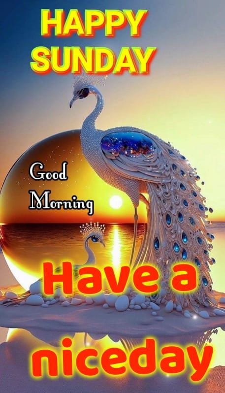 omchoudhary606's tweet photo. @rupa_jha_ https://t.co/dd9u11WgSg