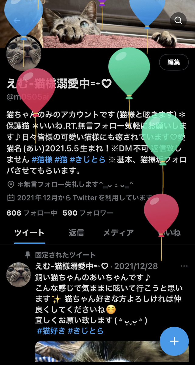 えむ猫様専用 eva.gov.co