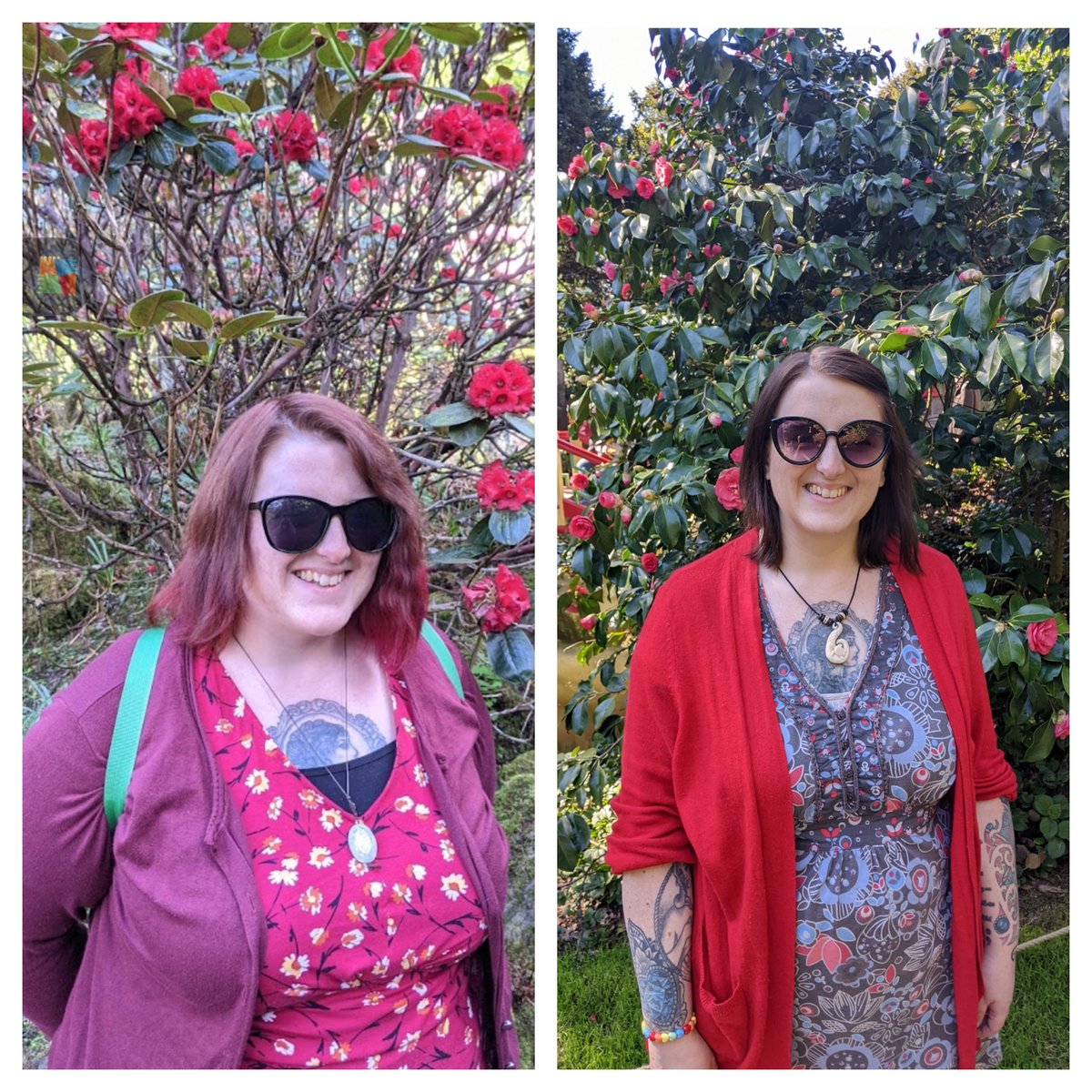 Liz_toadstool88's tweet photo. April 2021 V April 2023 https://t.co/UDS9jEDXXq