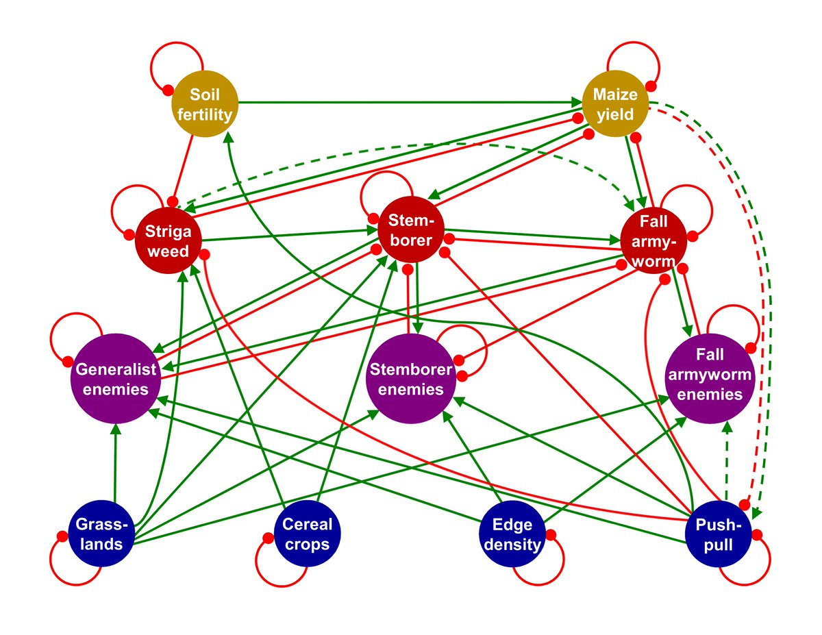 lexandridis's tweet photo. Review of climate change impacts on ecological intensification of African agriculture ✅ Modeling synthesis of push-pull ecology ✅ Holistic prediction of maize yield under #PushPullTechnology (negative but reversible through PPT) ✅ This paper has it all! https://t.co/lfOil2oalQ https://t.co/xsyVsSs3tk