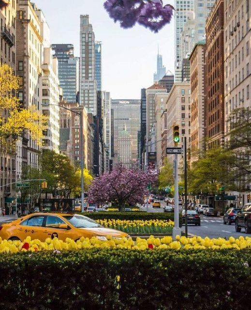 NYC📷📷📷📷
