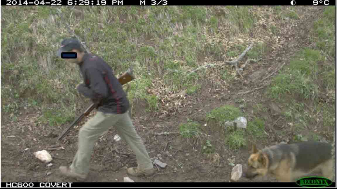 LA NATURALEZA ASTURIANA ASEDIADA POR EL FURTIVISMO
Las cámaras del FAPAS llevan años fotografiando a los cazadores furtivos en los espacios protegidos de Asturias sin que la Administración Regional ponga en marcha medidas para evitar esta actividad...
fapas.es/noticias/la-na…