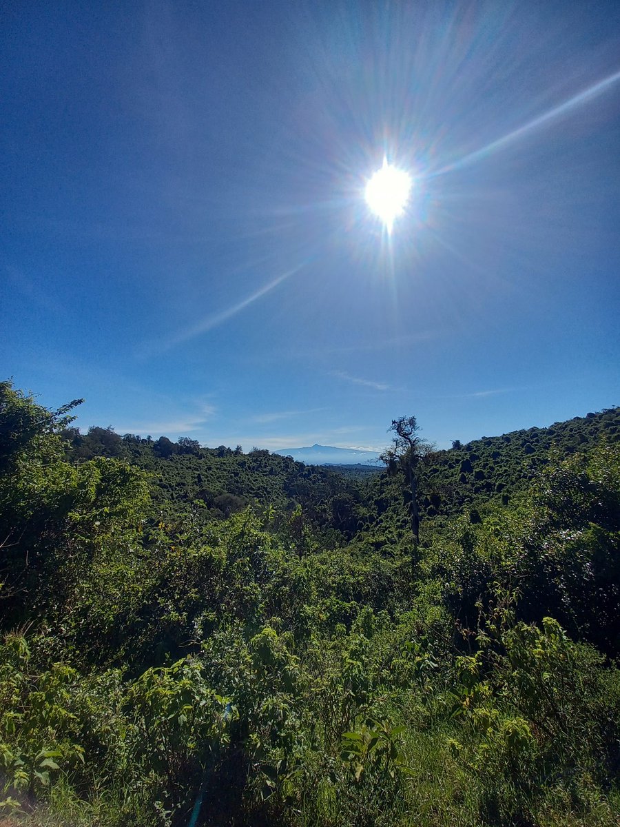AligulaSamuel's tweet photo. Aberdare National park
🇰🇪 
Nature and its spectacular ✨️ views https://t.co/qhvoAml7ss
