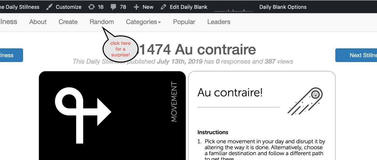 The Daily Stillness tweet media