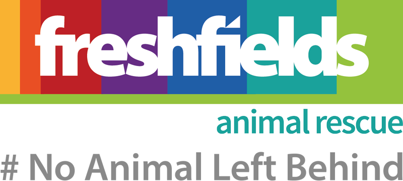 WiganPartyBoat's tweet photo. 😍🐶 IT'S NATIONAL PET DAY 😺😍 
We have a very exciting collab for you... Freshfields Animal Rescue 🥳 

Freshfields Animal Rescue 
#NoAnimalLeftBehind #Adoptdontbuy #rescue #animalrescue #canalcruise #wiganpier #Kittywakecanalcruises #partyboat https://t.co/GnhLu6DdGJ