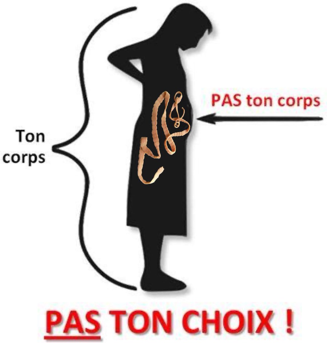 zylog80's tweet photo. @eva__ba Ceci est un message de la fédération internationale de protection des tenias. https://t.co/bbuQU2edSz