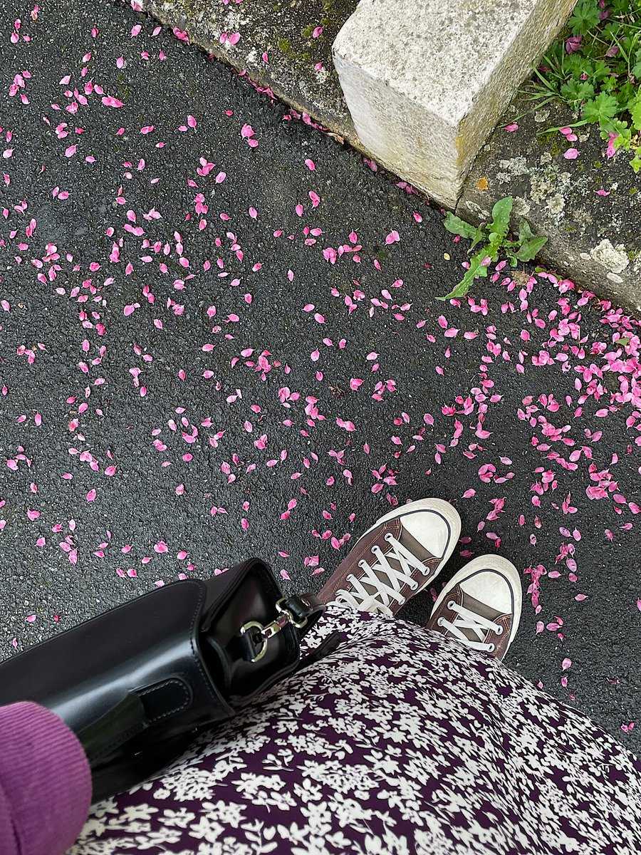 🌸🍒💕