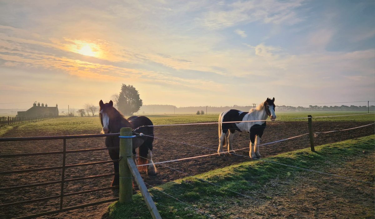 Vicky Irons CO tweet media