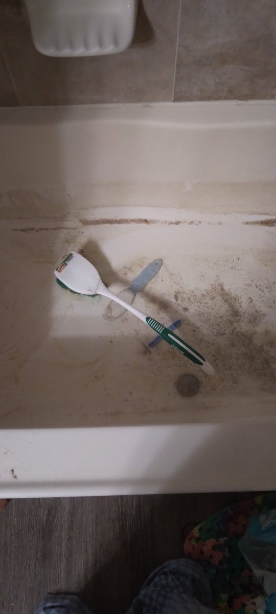 polandbros_des's tweet photo. How have I been sleeping on Lysol?? Been trying to clean the gunk out of my shower for weeks and NOTHING has worked - (tho I didn't try the Ajax and dawn that was suggested I didn't have dawn on hand) 
Anyway the lysol cut thru the gunk like butter! @Lysol https://t.co/QpoXMjEfDP