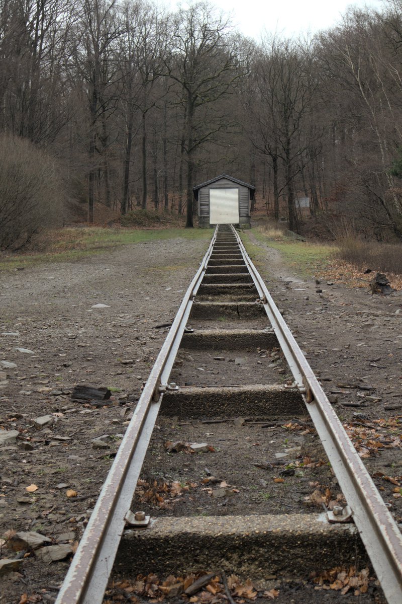 orgravenblack's tweet photo. up the rail
#photo #photography #photographylovers
#nature #naturephotography #naturelovers
#landscape #landscapephotography #landscapelovers https://t.co/6q81Nt92fN