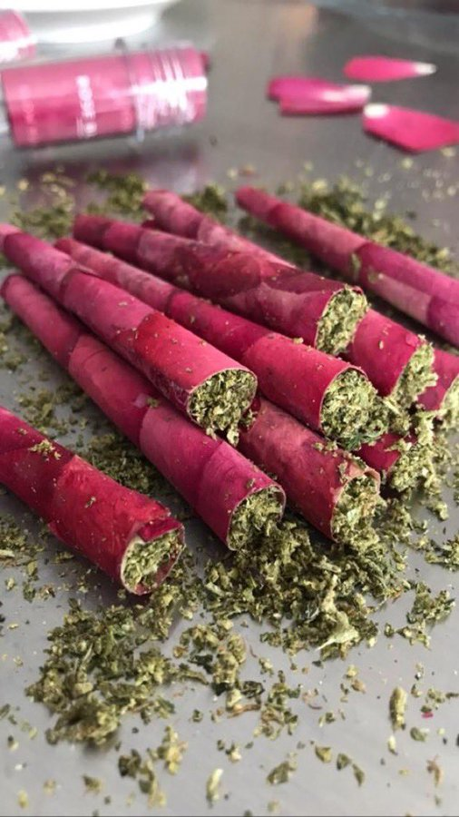 NewAgeCannaPC's tweet photo. Rose Petal Joints🌹 https://t.co/O2nqvrIEzt