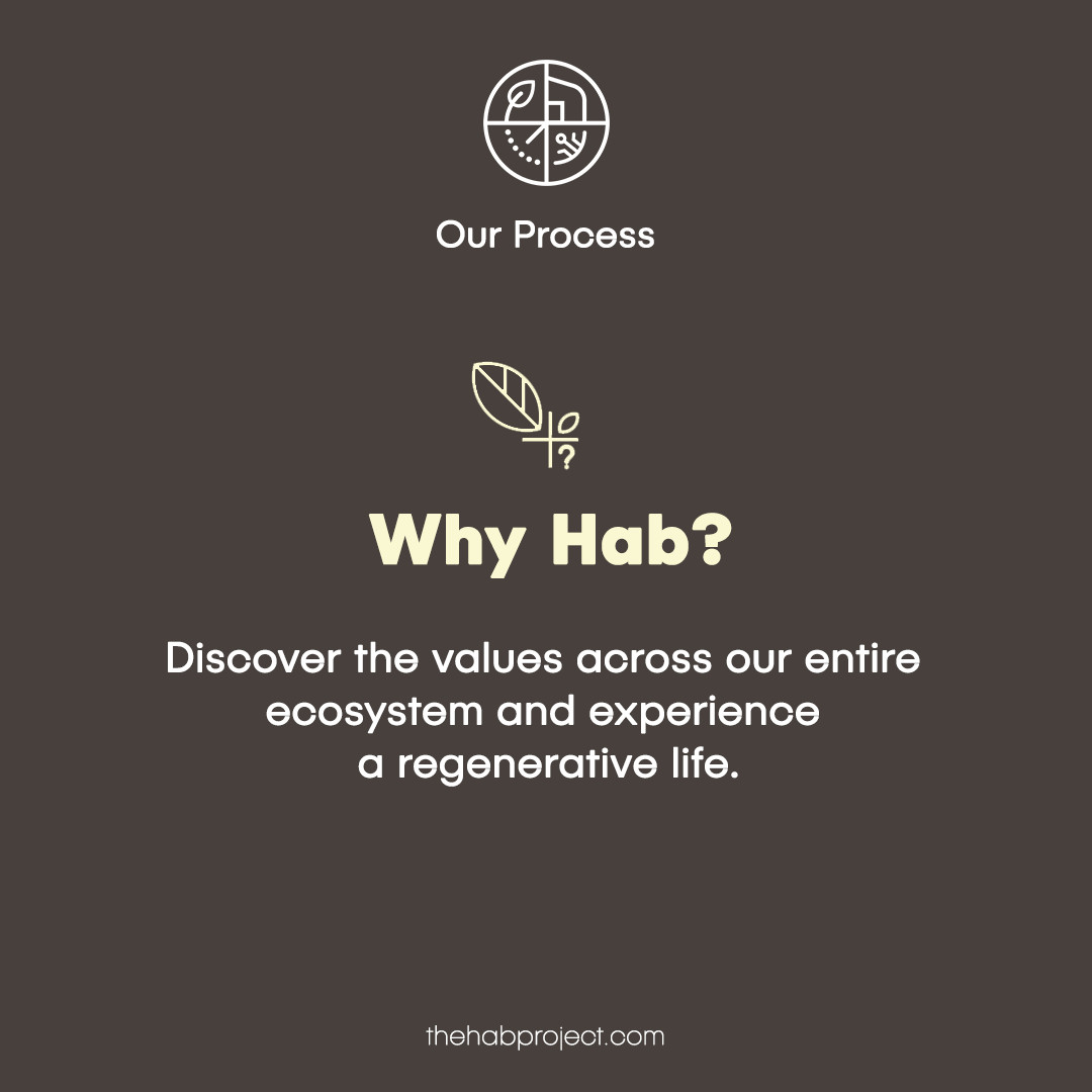 thehabproject's tweet photo. Discover the values across our entire ecosystem and experience a regenerative life.

#TheHabProject #WeDesignHabitats #RegenerateYourLife https://t.co/pstEnFuk5j