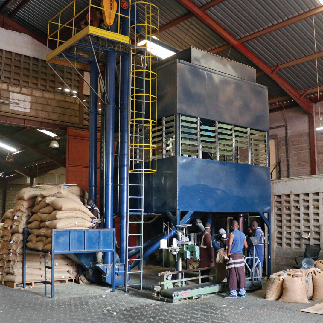 connectcoffeeKe's tweet image. Throughout every step of the coffee value chain, color-sorting is of the utmost importance. It's what makes #connectcoffee specialty coffee special. The process ensures that each green coffee we export across the global coffee market is of the highest quality.
#coffeesorting