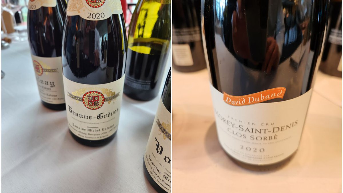 Terroir Sense Wine Review tweet media