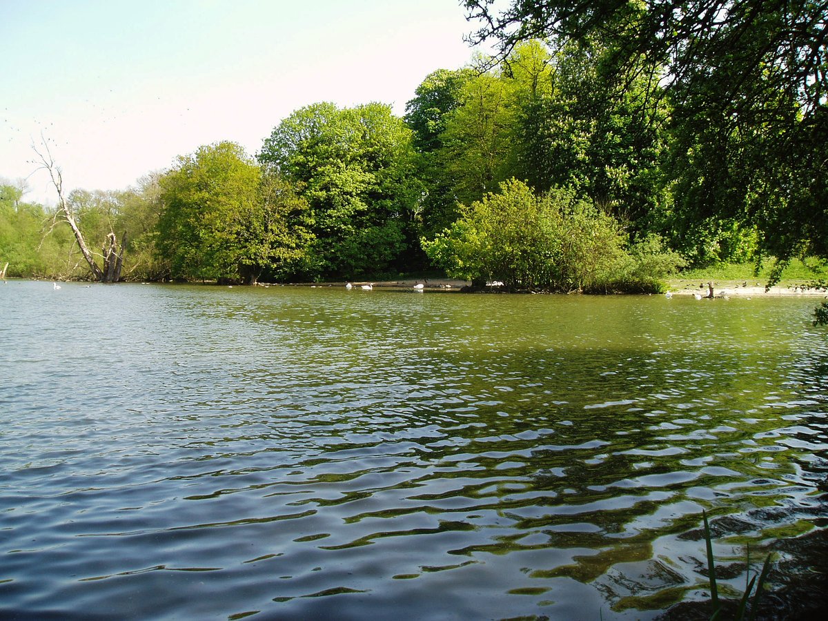 retired_tom's tweet photo. My photos from #April 2007
#CanalRiverTrust #GrandUnionCanal #TringReservoirs #WendoverArm #Tringford #StopLock #Quoin
#Canals & #Waterways can provide #Peace & #calm for your own #Wellbeing #Lifesbetterbywater https://t.co/gDlF1EfdBO