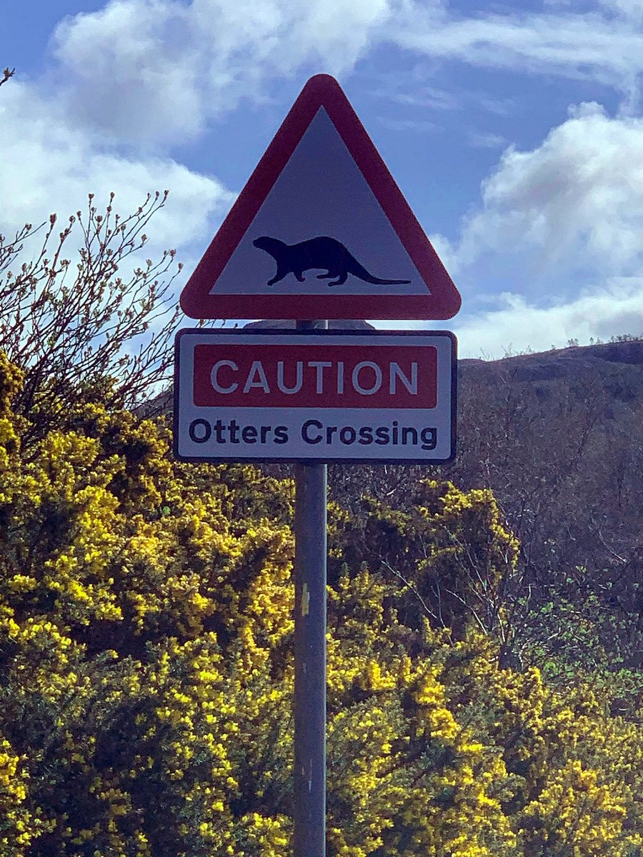 Hugh Harrop Wildlife tweet media