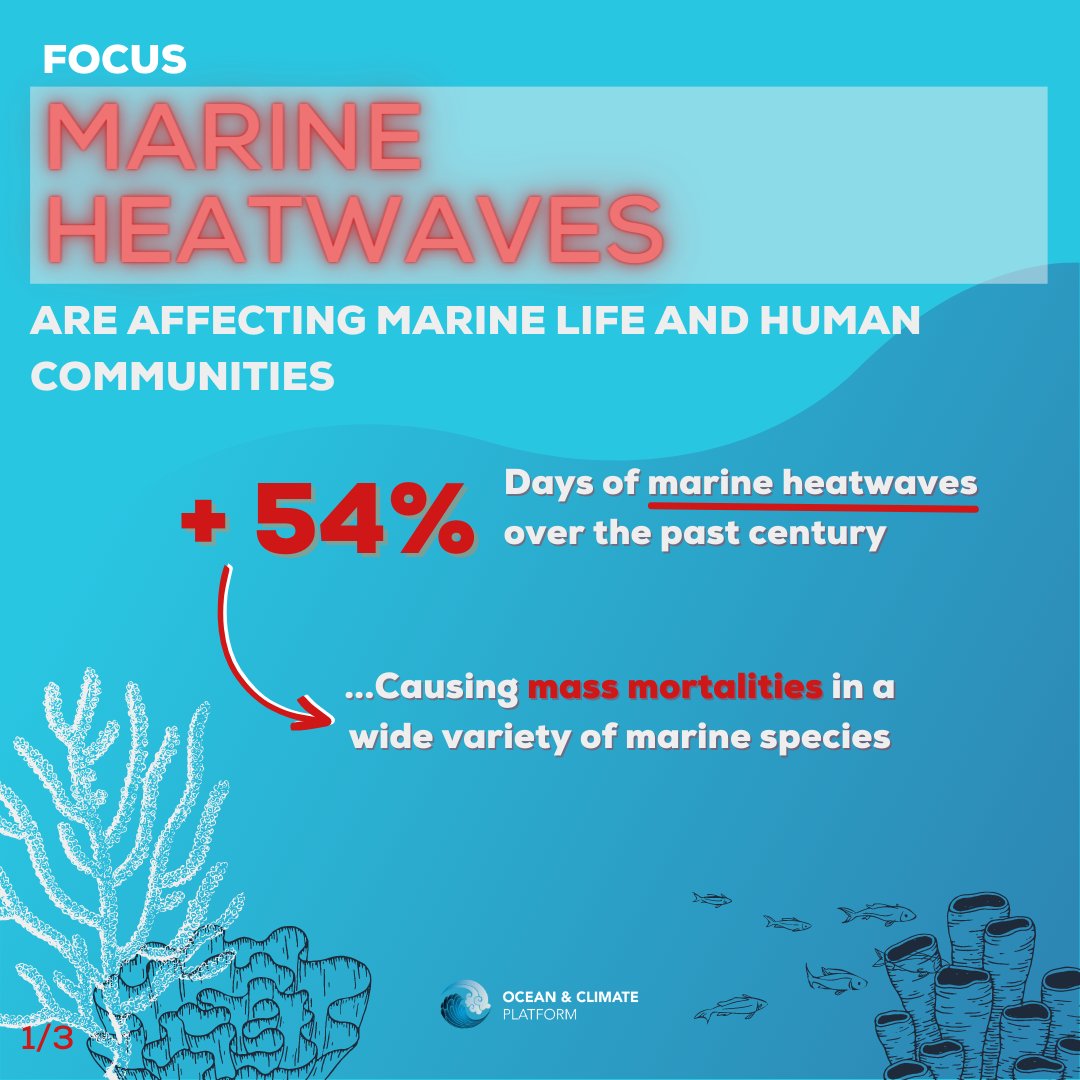 ocean_climate's tweet photo. [#WhatOceanForTomorrow]🌡️+54% of marine #heatwave days over the past century
🧐What are the impacts? Mass mortalities of marine species, #fishing closures…
⚠️On #land &amp; at #sea the consequences are rapid and long-lasting
👉Learn more: https://t.co/2qdzfUX96A https://t.co/c7OVofzVgb