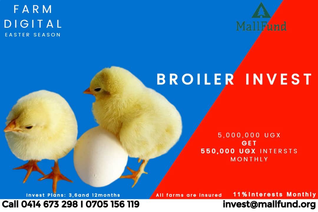 bamwinejnr's tweet photo. It's never too early to start investing in your future. The sooner you start, the better off you'll be. Don't wait until it's too late. Start today!
For more information call 0414 673 298
#FarmDigital https://t.co/VeTMU2Twny