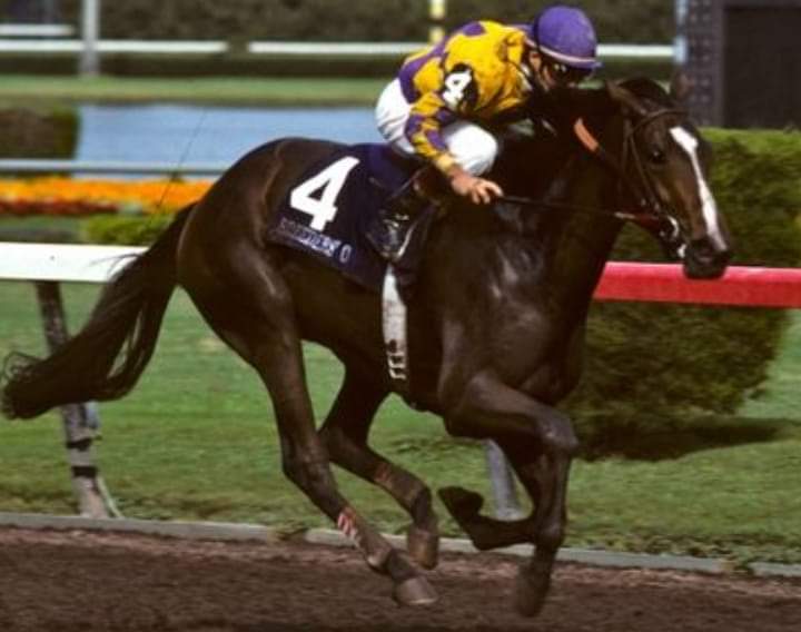 HORSERACING1002's tweet photo. GO FOR WAND (DEPUTY MINISTER) #GoForWand 13 starts 10 wins 2 seconds. 1989 @BreedersCup juvenile fillies winner. Champion 2 year old filly. 1990 Champion 3 year old filly. https://t.co/jNSu0Cp775