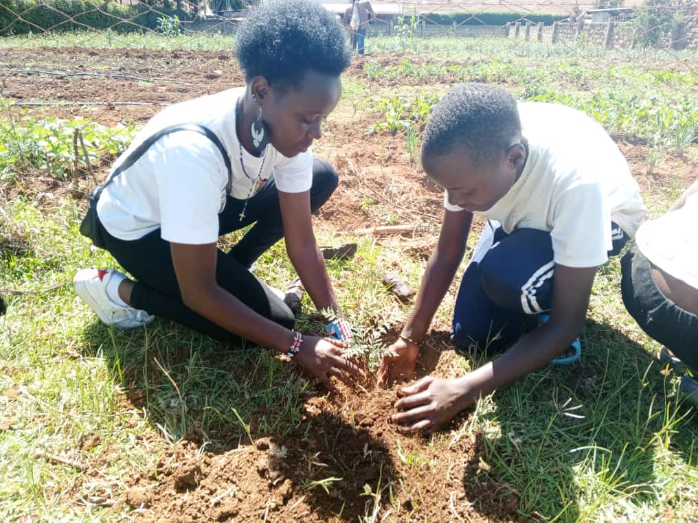 Planting trees will help combat global warming by absorbing CO2, removing and storing carbon while releasing O2 back into the air. They also reduce wind speed & cool the air as they lose moisture. @ASBELKEMBOI7 @wambui_56 @Araap_Sang @HonTuya @NetForCommDev @Nandi029 #KPCG #PACJA