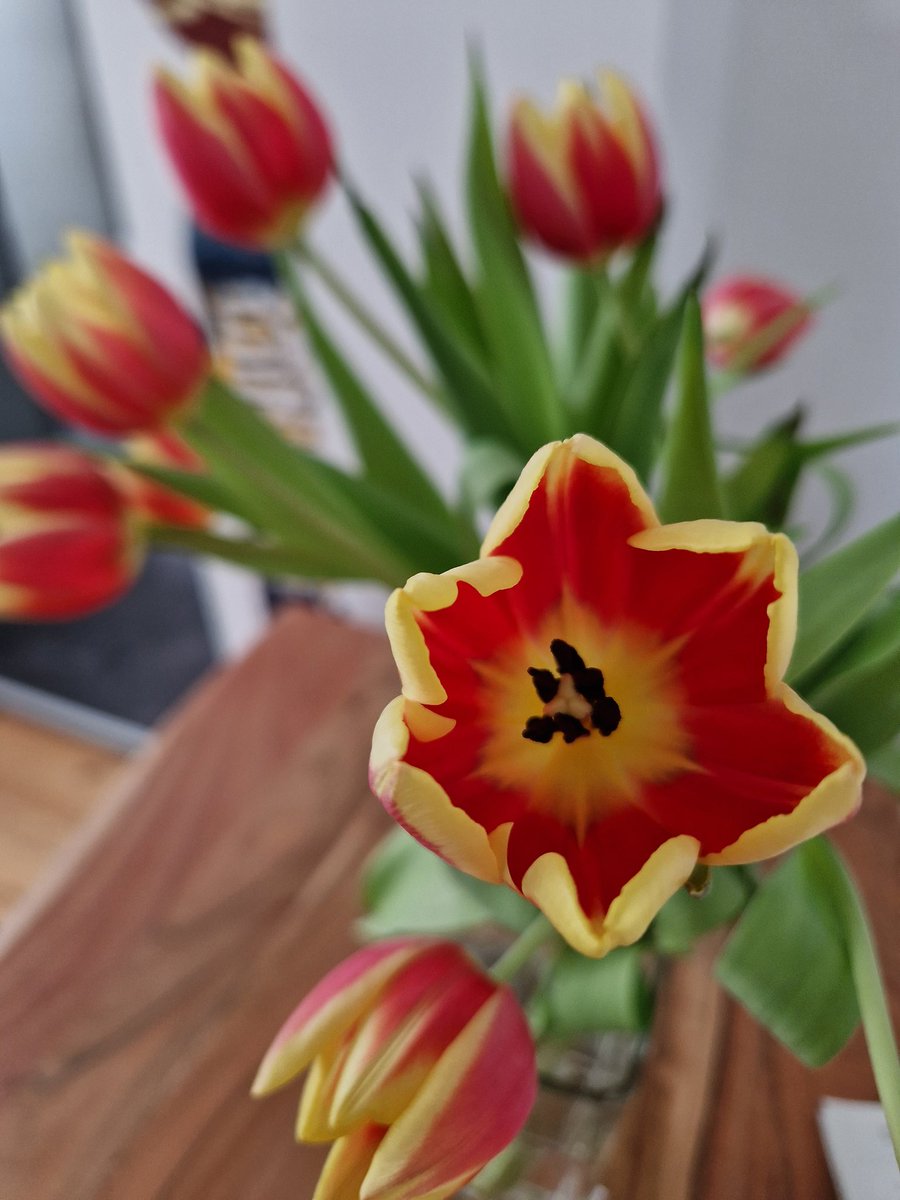 Reneplp (@reneplp) on Twitter photo 