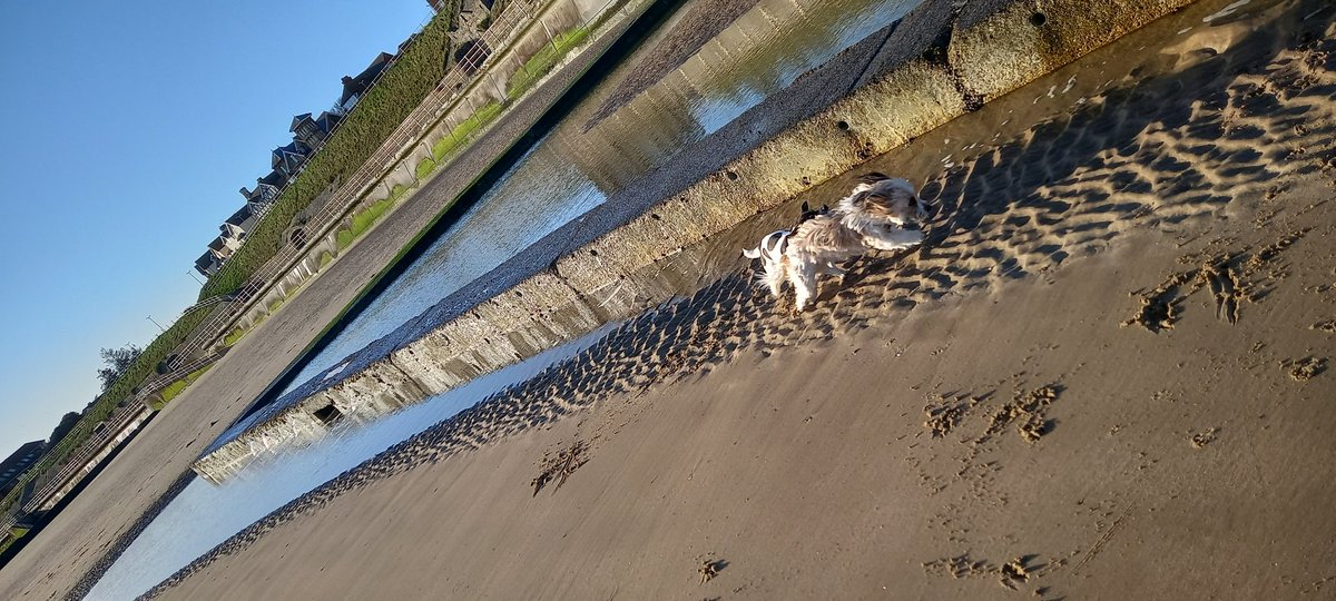 KerriePayne11's tweet photo. Enjoyed a perfectly peaceful early morning walk in the spring sunshine โ ๐
#springmornings
#sunnydays
#EasterHolidays https://t.co/gZ8roNaW0E