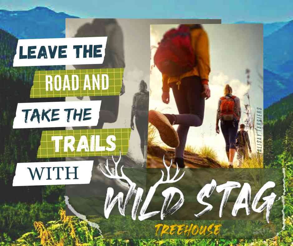 WildStagTH's tweet photo. Procrastinating is a sign of a weakened mind and something that is prone to plague us all. Only YOU can change you and it starts with positive thinking.
Getting outside can help, it reenergise you and will improve mental and physical health!
#GetBackOutside #getoutside https://t.co/WbdBfc2NFO