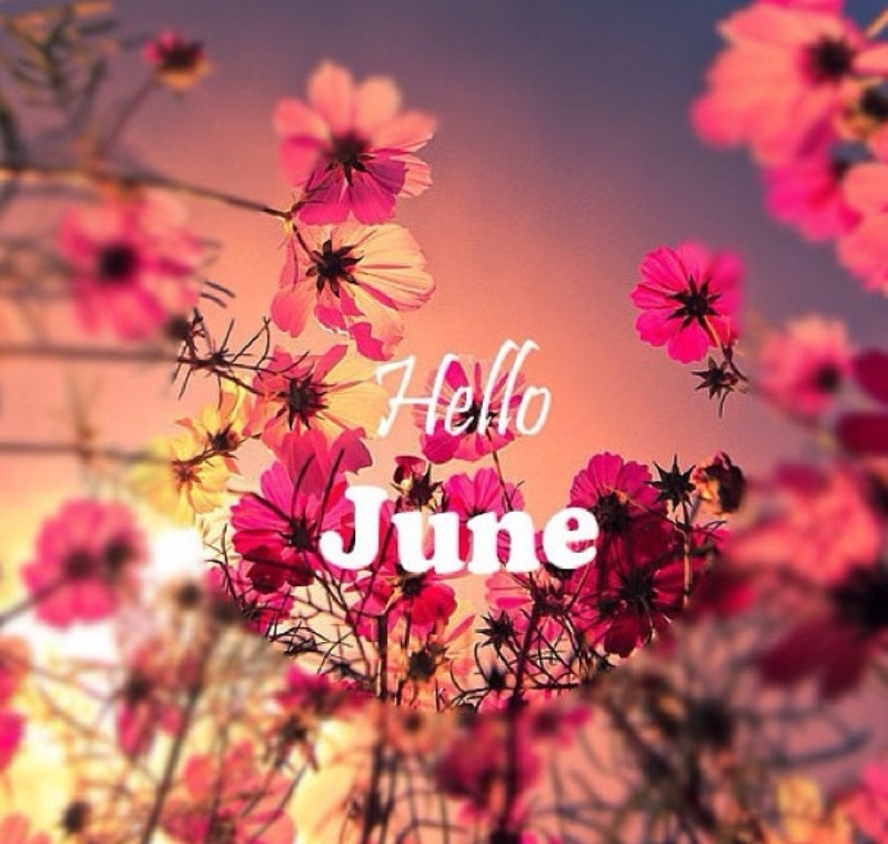 Today is the start of a new month Now is a good time to - review what isn't working - set new goals - focus on new opportunities How do you hope you & your business will 'blossom & achieve' this month? #SBS #SmartSocial #MHHSBD #EarlyBiz #BizBubble #June #newmonth