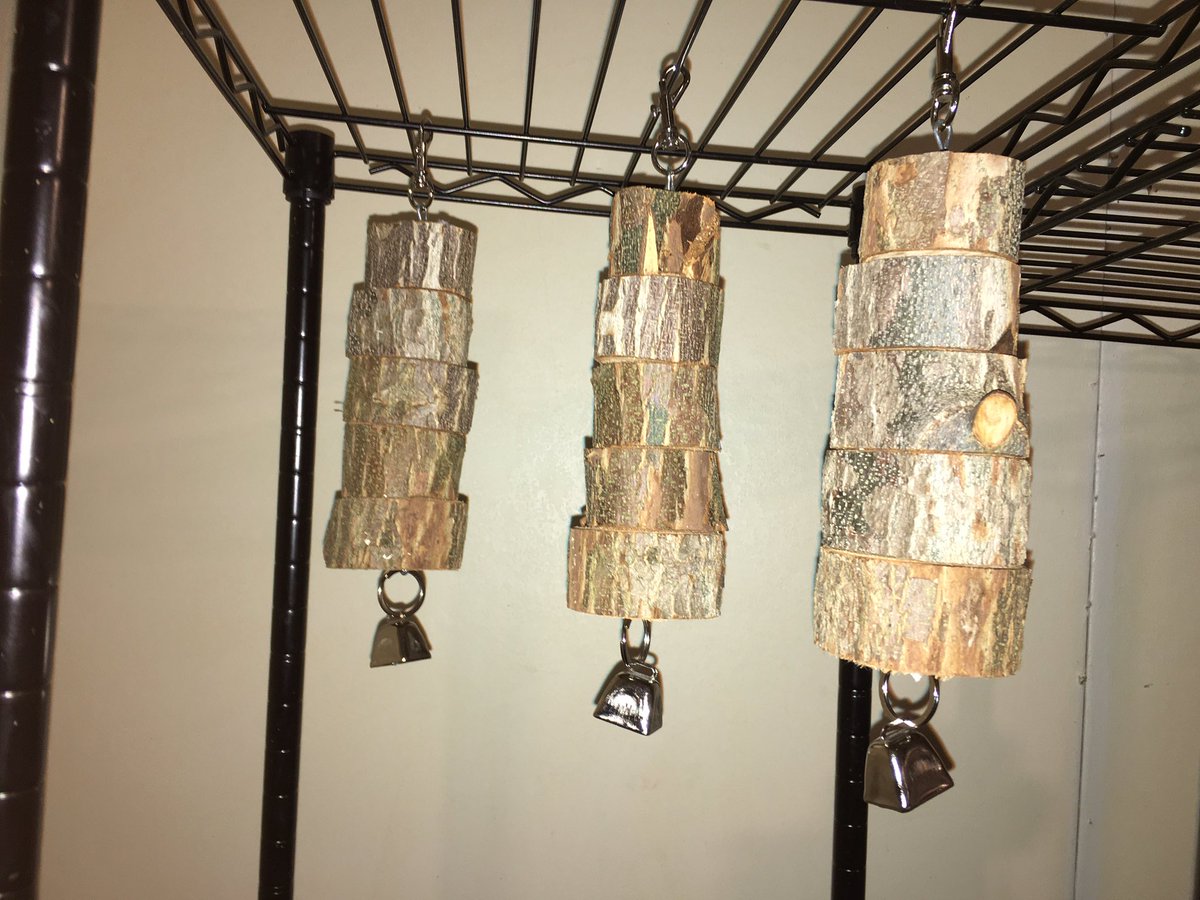UniKorner_store's tweet photo. FRESH CUT PECAN WOOD CHEW TOYS!  I don’t often have pecan wood, but my dad wanted to cut some off in his pasture so I have a load.  Get yours now!
$20 includes shipping
They’re about 10.5” long total.  Snap clip, jack chain, pecan wood blocks and a bell! https://t.co/5qPnAkBTq5