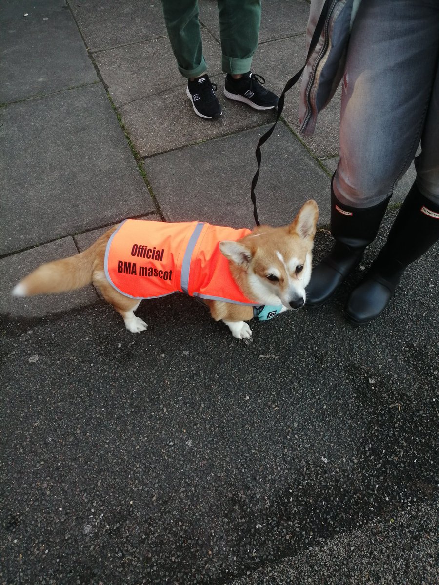 On the pickets today for the #JuniorDoctorsStrike to support <a href="/ar2flo/">Dr Helen</a> and her excellent colleagues striking for the pay restoration they and so many others deserve. Most importantly, we have this delightful little beast as morale officer.  <a href="/TheBMA/">The BMA</a> <a href="/SteveBarclay/">Steve Barclay</a>